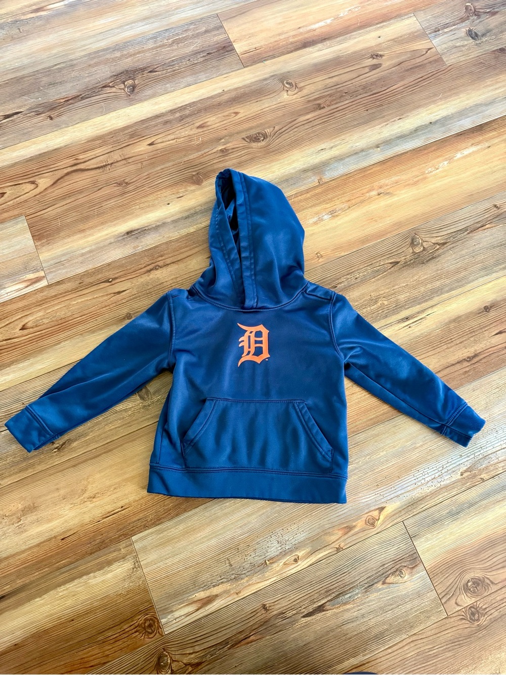 Kids Detroit Tigers Hoodie